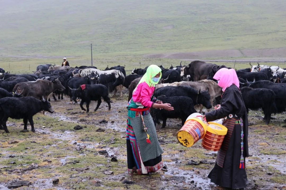 འབྲོག་ལས་མཉམ་ལས་དར་སོང་། ཨ་ཁུ་འབྲོག་པ་སྐྱིད་སོང་།